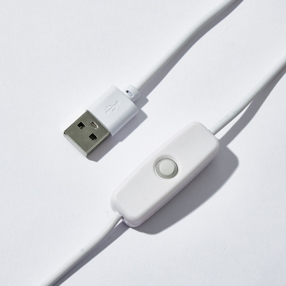 White USB cable with inline switch for Personalized Bone Night Light, USB powered.