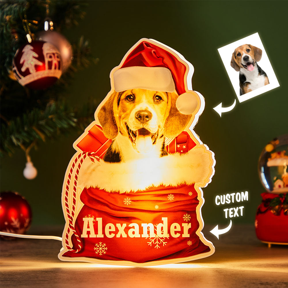 Custom Pet Night Light with dog in Santa hat, personalized 'Alexander'. Christmas gift.